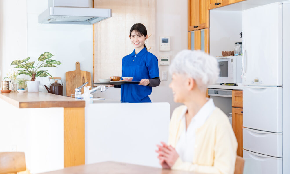 Lifestyle Support Services for Seniors